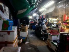 -香港佐治五世纪念公园