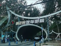 -枫花园汽车电影院(朝阳公园店)