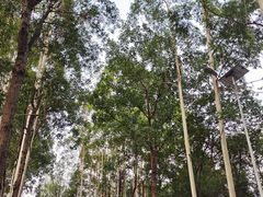 -白鹭湾湿地公园