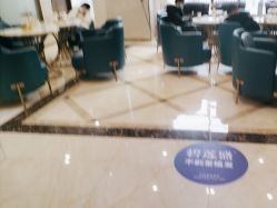 -碧莲盛·不剃发植发