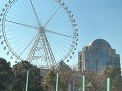 -江南环球港