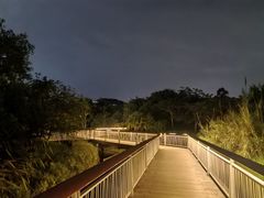 -福田红树林生态公园