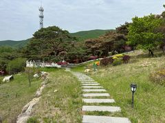 -延吉东来寺
