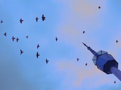 -陕西广播电视塔