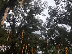 -慈城古县城景区