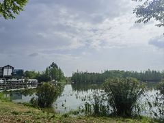 -白鹭湾湿地公园