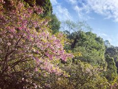 -宁波五龙潭景区