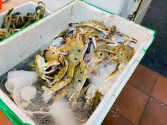 三花蟹-桂园白粥·潮汕老味道