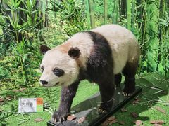 -中国地质博物馆