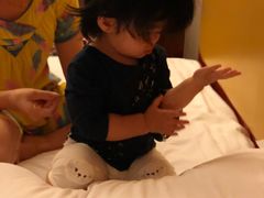 -圣爵菲斯大酒店(长沙世界之窗店)