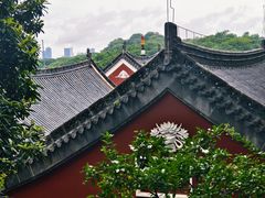 -长春观