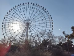 -万泉公园