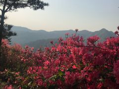 -木兰云雾山