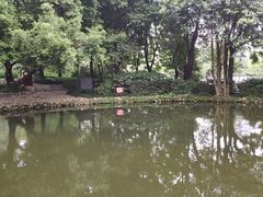 -成都市活水公园