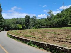 -白河湾生态旅游一条川