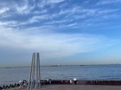 -上海滨江森林公园