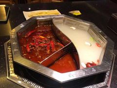 -蜀香居鲜毛肚火锅