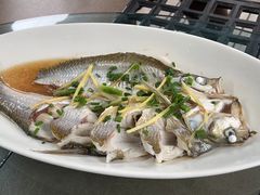 -听风阁农家私房菜茶楼(龙坞店)