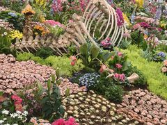 -沈阳植物园