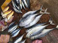 -尼甘布海鲜市场