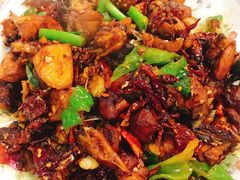 -新疆风味冷水鱼庄(友谊峰路店)