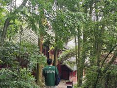 -青城山