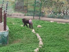 -西安秦岭野生动物园