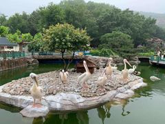 -大连老虎滩海洋公园