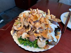 野生菌拼盘-野菌皇海景野生菌火锅(滨海大道店)