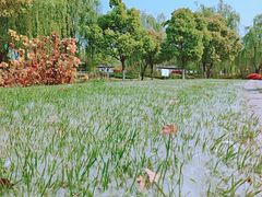 -尚贤河湿地