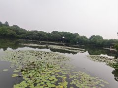 -西湖游船