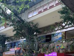 -呀诺达热带雨林