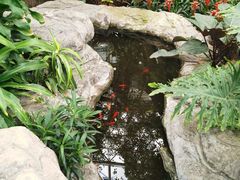 -北京植物园-展览温室