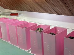 -翊宠yipet猫狗购宠庄园犬舍•猫舍