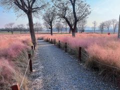 -汉长安城未央宫国家考古遗址公园