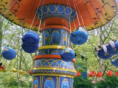 -上海共青森林公园