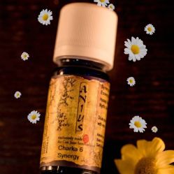 -芳香乐府疗愈空间·SPA·冥想