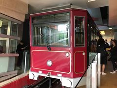 -翠华餐厅(山顶道店)