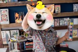 -亲吻宝贝儿童摄影