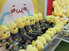 -LLJ夹机占(清河万象汇店)