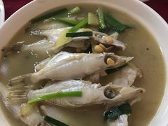 -蛇口康乐快餐鱼仔档(翠苑小区店)