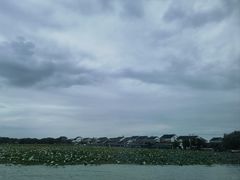 -阳澄湖半岛旅游度假区