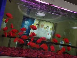 -成都军建医院·疤痕诊疗中心