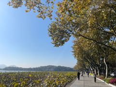 -北山街历史文化街区