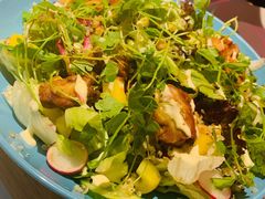 牛肉烤鸡沙拉-幸薈飯堂