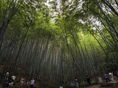 -敬亭山风景名胜区