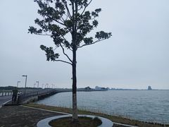 -阳澄湖半岛旅游度假区