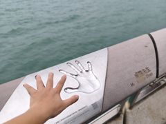 -星光大道