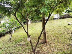 -广州神农草堂中医药博物馆
