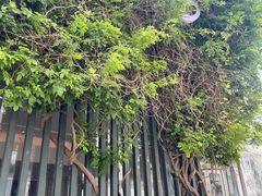 -纳地素食(石门公园店)